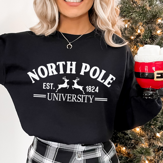 North Pole University DTF Transfer (WILD DEALS)